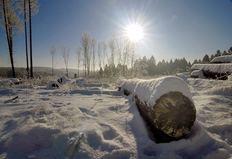 Winter Land_DDC8580 Kopie.jpg